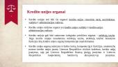 Kredito unijos ir kitos kredito įstaigos 12 puslapis