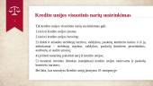 Kredito unijos ir kitos kredito įstaigos 13 puslapis