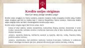 Kredito unijos ir kitos kredito įstaigos 2 puslapis