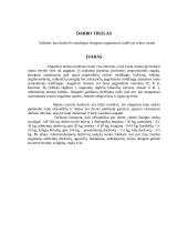 Graužk daržoves - būsi sveikas 2 puslapis