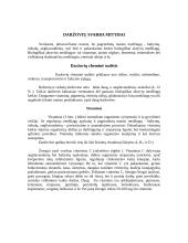 Graužk daržoves - būsi sveikas 3 puslapis