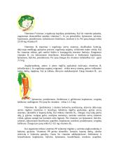 Graužk daržoves - būsi sveikas 4 puslapis