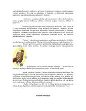 Graužk daržoves - būsi sveikas 9 puslapis