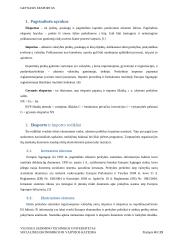 Grynasis eksportas 4 puslapis