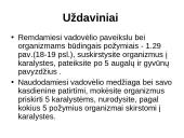Gyvosios gamtos karalystėse telpa visa gyvybė 2 puslapis