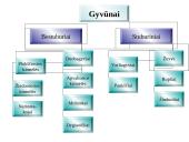 Gyvosios gamtos karalystėse telpa visa gyvybė 13 puslapis