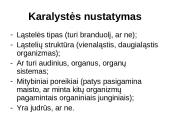 Gyvosios gamtos karalystėse telpa visa gyvybė 4 puslapis