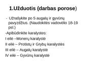 Gyvosios gamtos karalystėse telpa visa gyvybė 5 puslapis