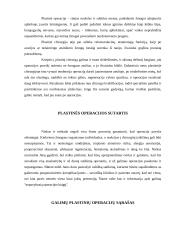 Grožio tyrimai 11 puslapis