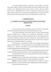 Grožio tyrimai 12 puslapis