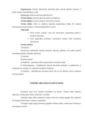 Grožio tyrimai 13 puslapis