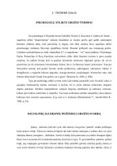 Grožio tyrimai 3 puslapis