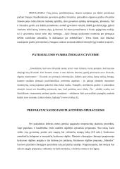 Grožio tyrimai 7 puslapis