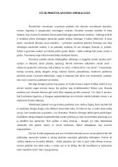 Grožio tyrimai 10 puslapis