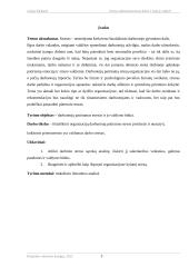 Stresas administratoriaus darbe ir kaip jį valdyti? 3 puslapis