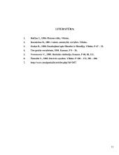 Grožis bei vertybės Platono filosofijoje 13 puslapis