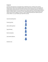 Skrandžio vėžys 4 puslapis