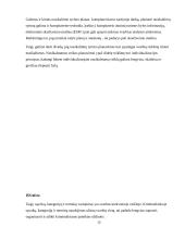 Pagrindinės kriminalistikos sąvokos, kategorijos ir terminai 12 puslapis