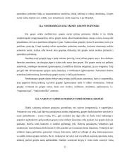 Grupių susidarymas ir jų valdymas 11 puslapis