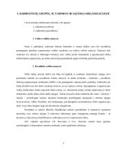 Grupių susidarymas ir jų valdymas 3 puslapis
