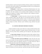 Grupių susidarymas ir jų valdymas 7 puslapis