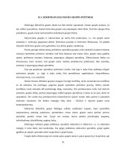 Grupių susidarymas ir jų valdymas 10 puslapis