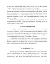 Gruzijos ekonomikos atstatymo planas 13 puslapis