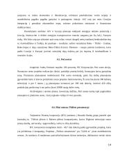 Gruzijos ekonomikos atstatymo planas 14 puslapis