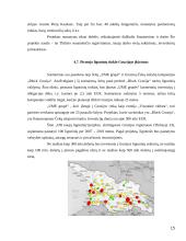 Gruzijos ekonomikos atstatymo planas 15 puslapis