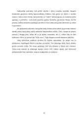 Haliucinogeniniai grybai ir pasaulėžiūra 19 puslapis