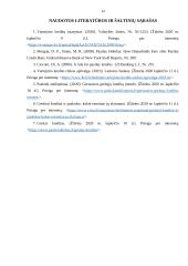 Greitųjų kreditų rinkos apžvalga 13 puslapis