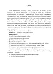 Greitųjų kreditų rinkos apžvalga 2 puslapis