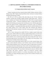 Greitųjų kreditų rinkos apžvalga 3 puslapis