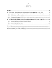 Vyriausybės kompetencija, funkcijos ir įgaliojimų laikas