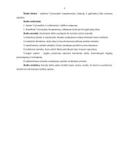 Vyriausybės kompetencija, funkcijos ir įgaliojimų laikas 3 puslapis