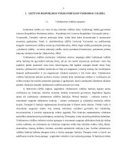 Vyriausybės kompetencija, funkcijos ir įgaliojimų laikas 4 puslapis