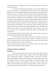 Atvejo analizė - individualaus ugdymo plano sudarymas 2 puslapis