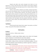 Atvejo analizė - individualaus ugdymo plano sudarymas 3 puslapis