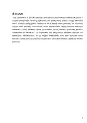 Heleninės skulptūros analizė 8 puslapis