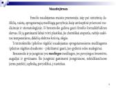 Fenoliai 10 puslapis