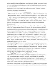 Hidraulinės rišamosios medžiagos 4 puslapis