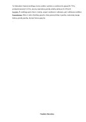 Hidraulinės rišamosios medžiagos 10 puslapis