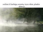 Ypatingosios vandens savybės (skaidrės) 11 puslapis