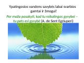Ypatingosios vandens savybės (skaidrės) 13 puslapis