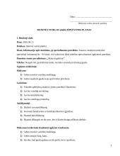 Meninės veiklos (dailė) išplėstinis planas 2 puslapis