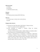 Meninės veiklos (dailė) išplėstinis planas 3 puslapis