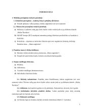 Meninės veiklos (dailė) išplėstinis planas 4 puslapis