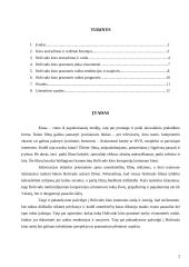 Holivudo kino pramonės istorija 2 puslapis