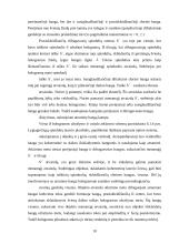 Holograminės apsaugos elementai 11 puslapis