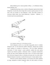Holograminės apsaugos elementai 12 puslapis